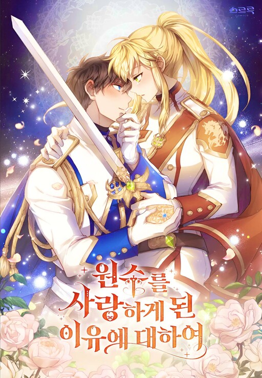 Falling for the Enemy cover